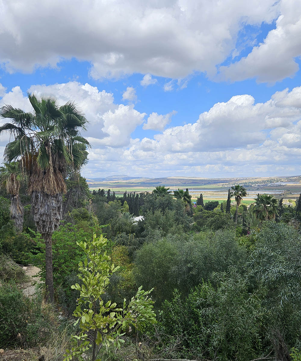 מבט מהגלבוע